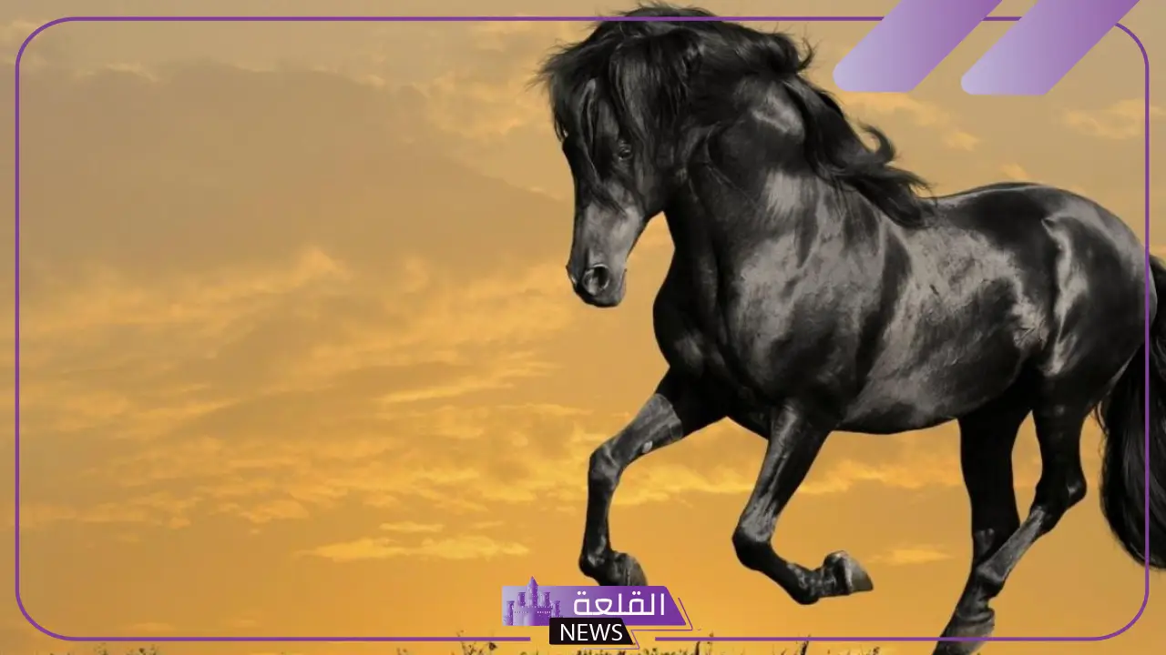 تفسير حلم الخيل في المنام وركوبه لكبار العلماء والمفسرين