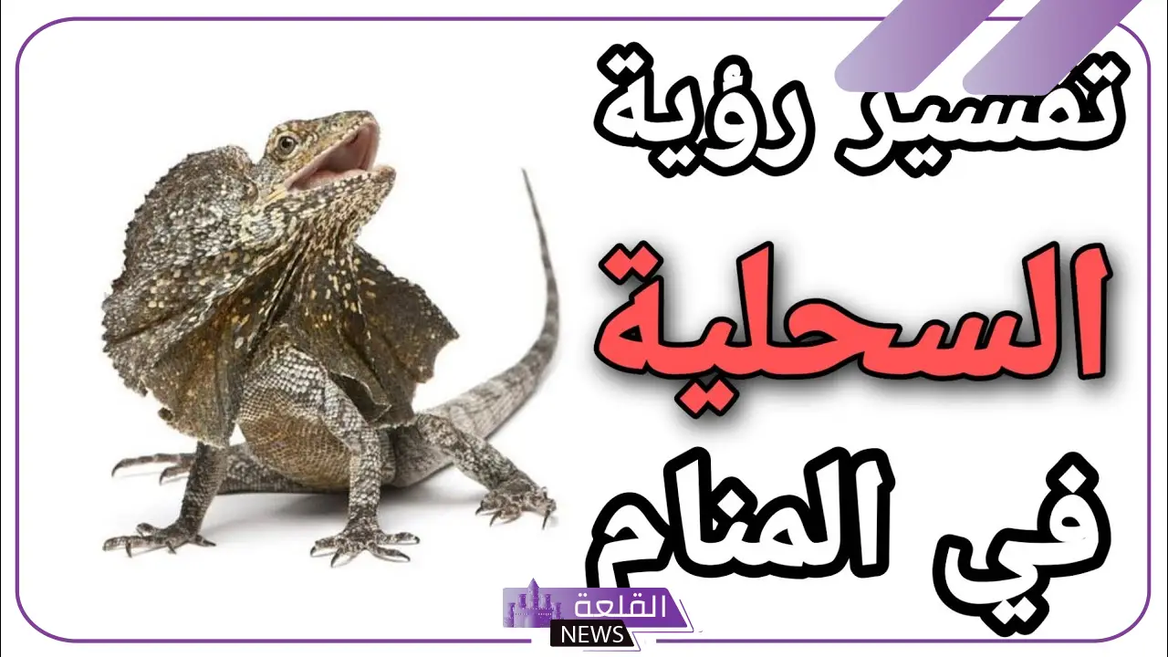 تفسير حلم السحلية في الحلم للرجل والمرأة ورمزها لابن سيرين 6 السحلية في الحلم للنابلسي