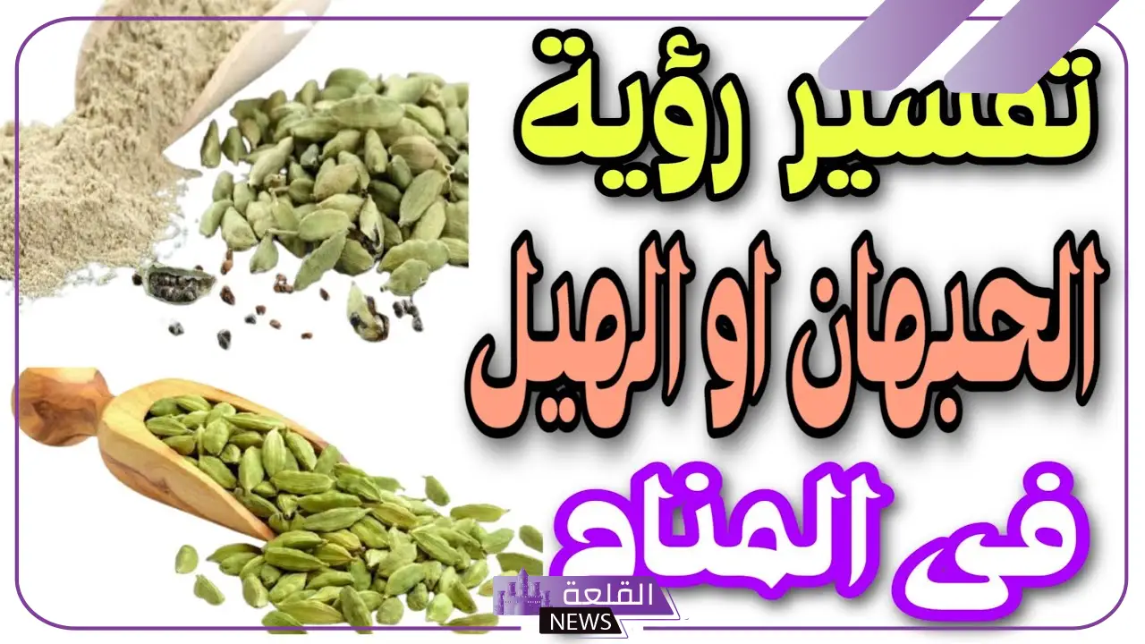 تفسير حلم الهيل في المنام للعزباء والمتزوجة ورمزه لكبار المفسرين
