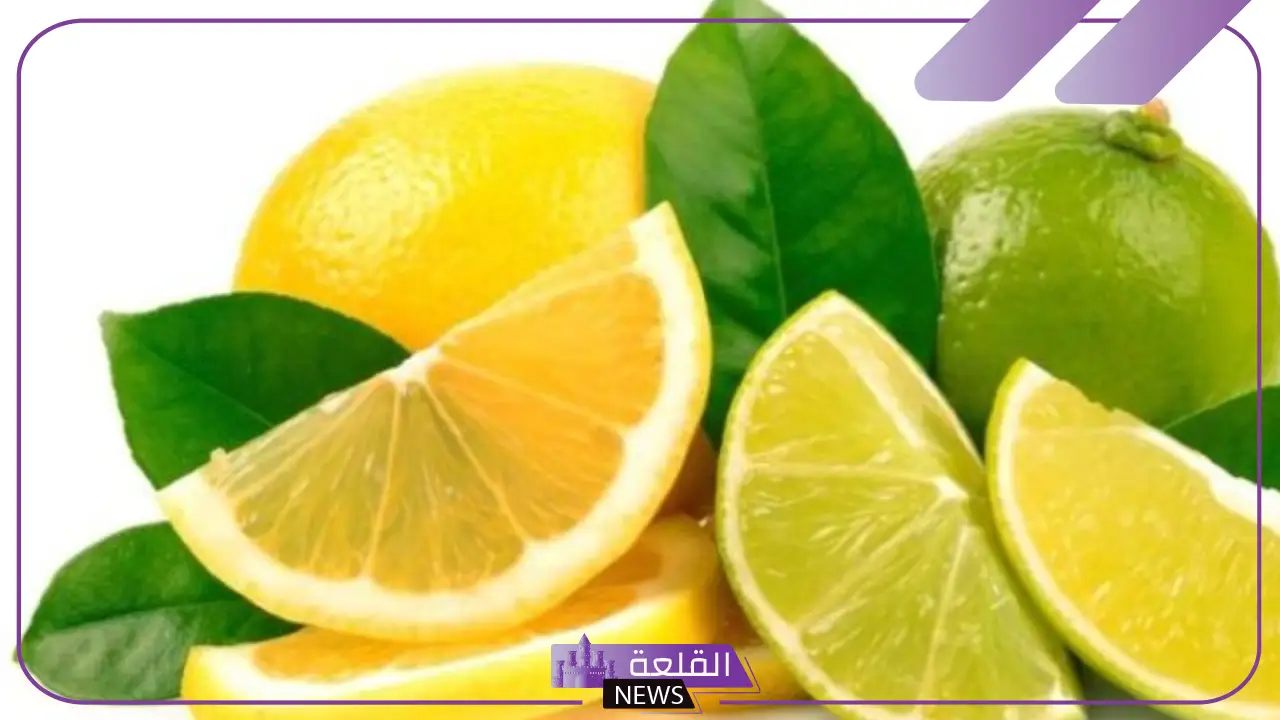 تفسير حلم شجرة الليمون الاخضر في المنام وطرحها لابن سيرين 5 تفسير رؤية الليمون في المنام للنابلسي