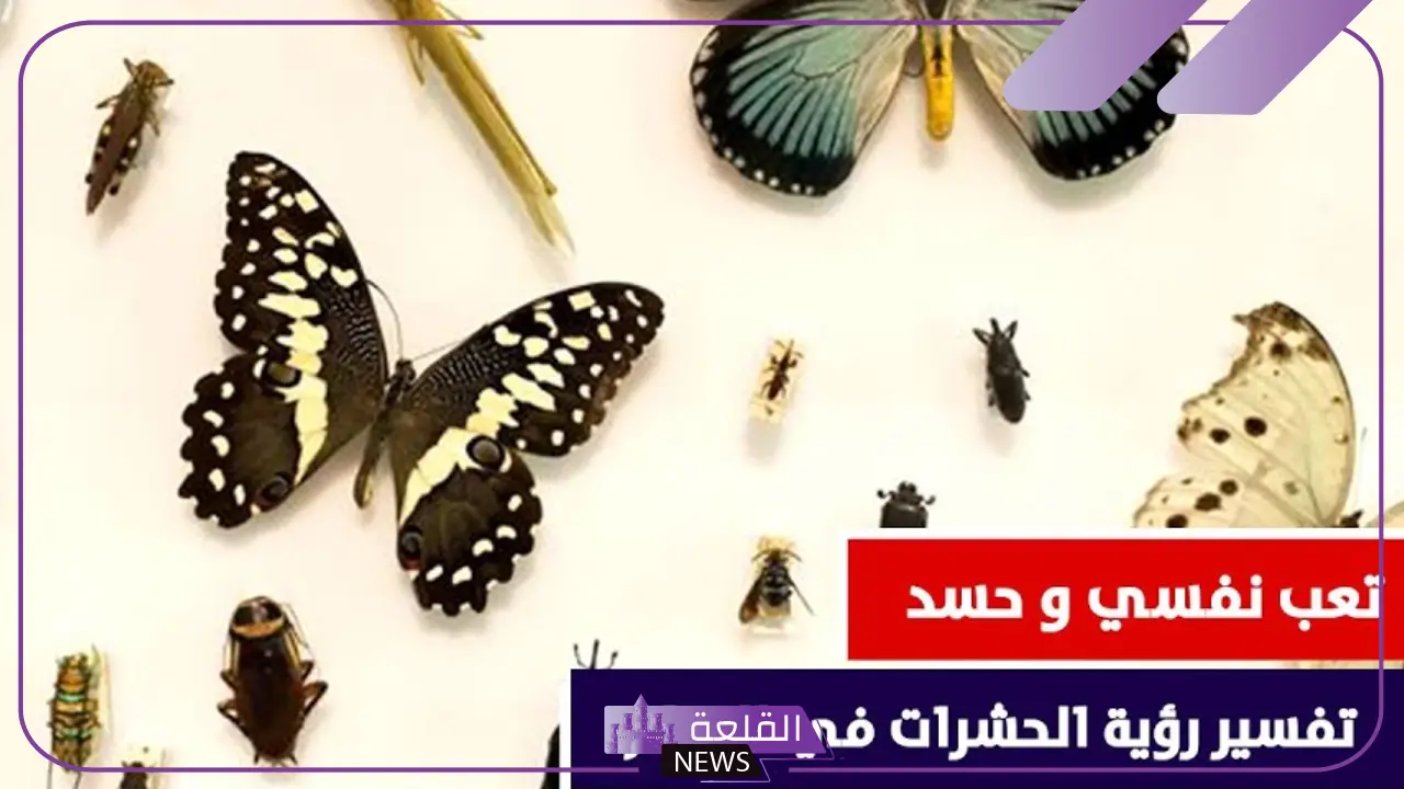 تفسير حلم الحشرات الصغيره في المنام ورمزها لابن سيرين 5 رمز الحشرات الصغيرة في الأحلام