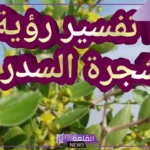 تفسير رؤية السدر المطحون في المنام لابن سيرين للمتزوجة