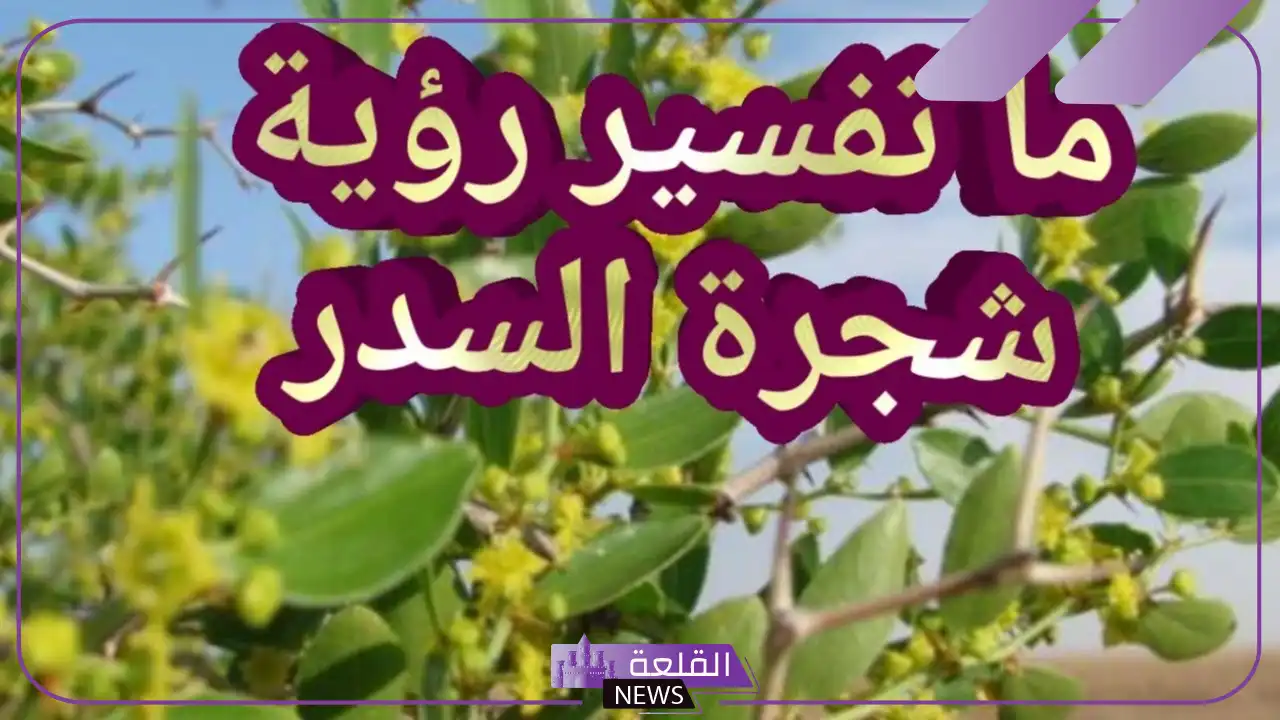 تفسير رؤية السدر المطحون في المنام لابن سيرين للمتزوجة