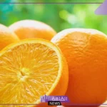 تفسير شرب عصير البرتقال في المنام ورمزه لكبار العلماء