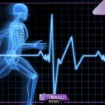 دور تقنيات الاستشعار في تحليل تأثير الضربات في الرياضات القتالية