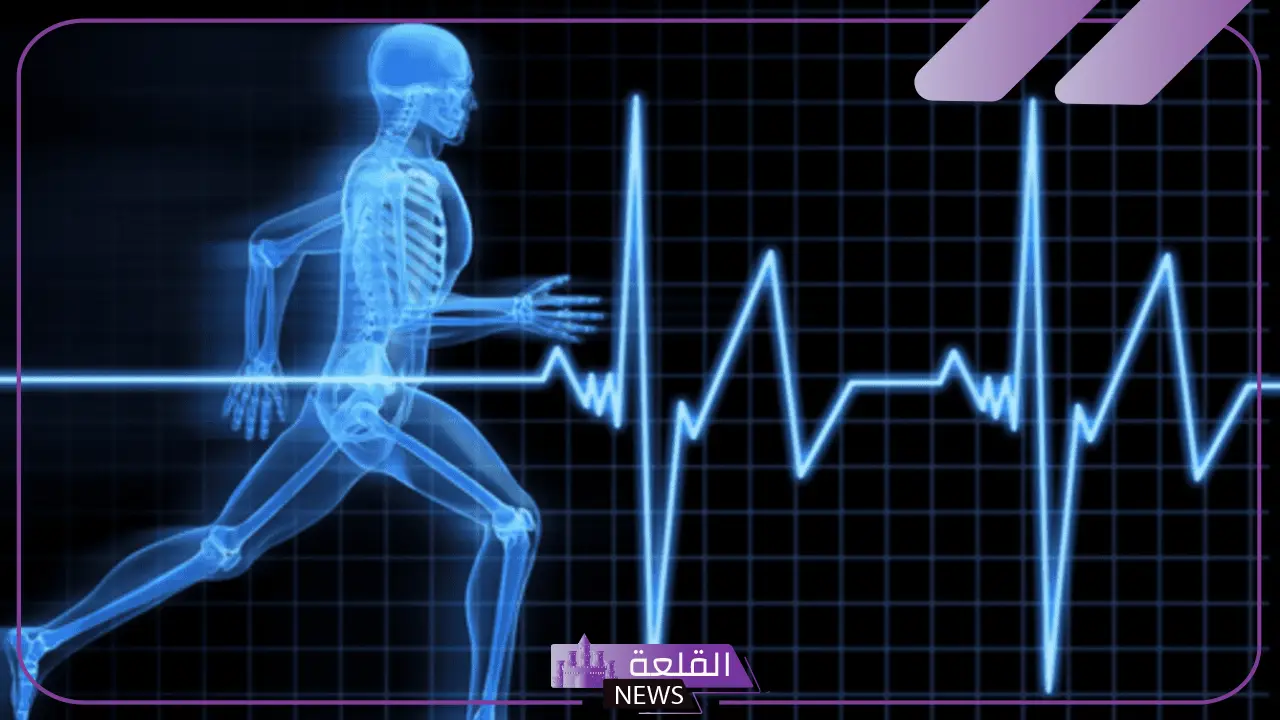 دور تقنيات الاستشعار في تحليل تأثير الضربات في الرياضات القتالية