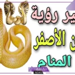 تفسير حلم الافعى الصفراء في المنام لابن سيرين والإمام الصادق