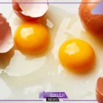 تفسير حلم البيض للمتزوجه والحامل والعزباء لابن سيرين