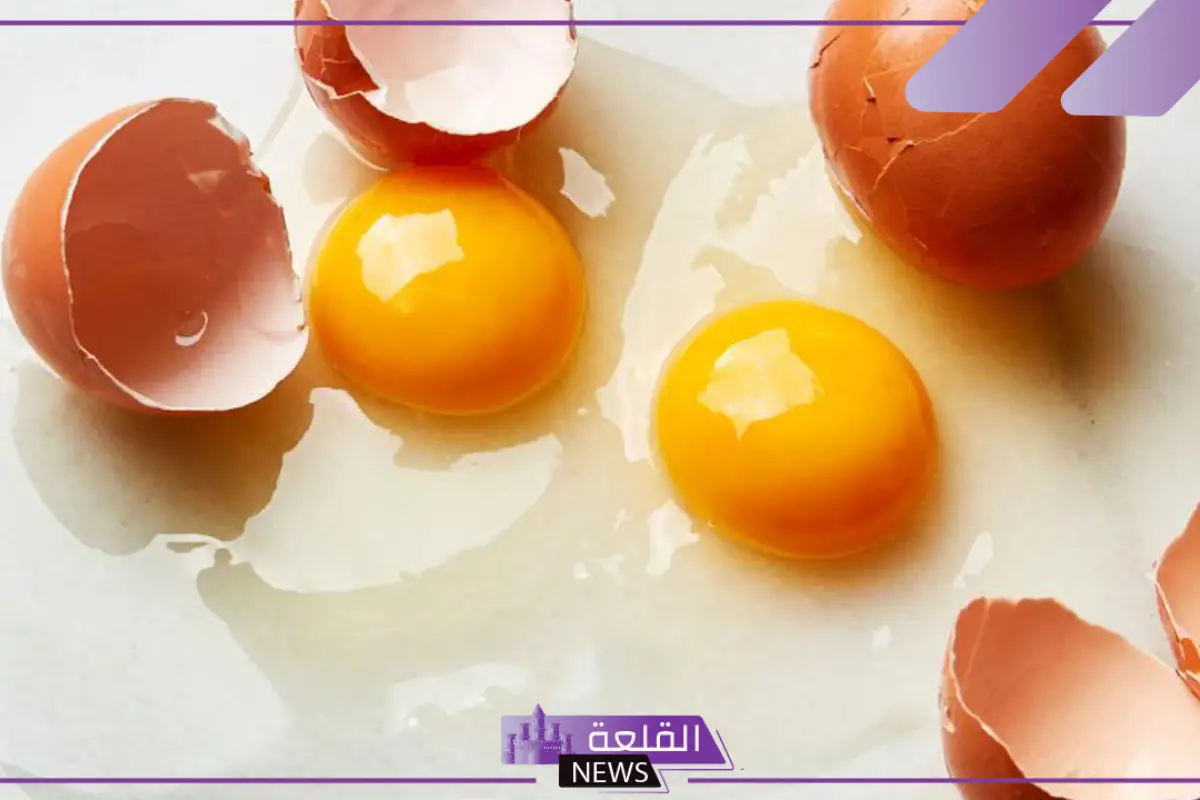 تفسير حلم البيض للمتزوجه والحامل والعزباء لابن سيرين