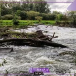 حلم السيل بدون مطر في المنام لابن سيرين والنابلسي وابن شاهين