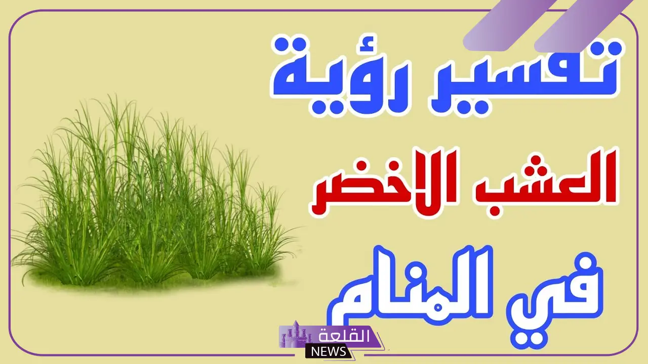 تفسير حلم  العشب الاخضر في المنام لابن سيرين والنابلسي