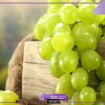 تفسير حلم العنب الاخضر في المنام وأكله للمتزوجة والعزباء لابن سيرين