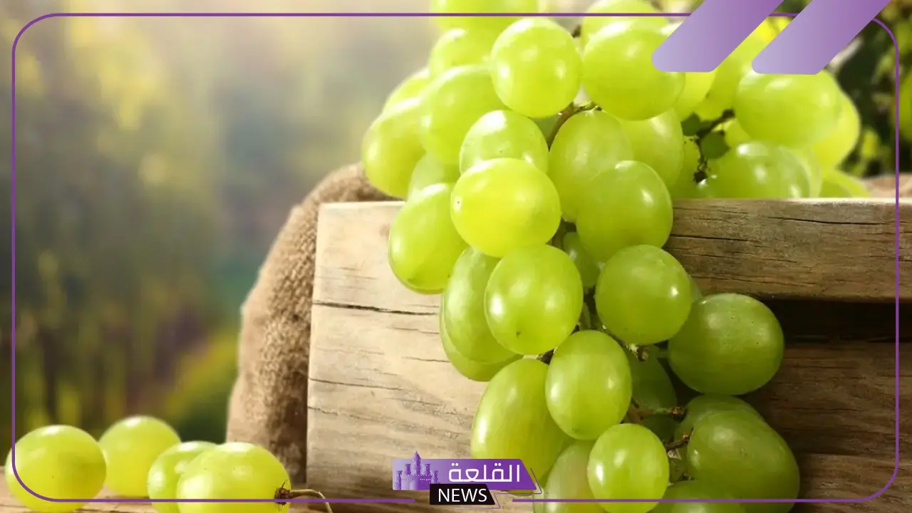 تفسير حلم العنب الاخضر في المنام وأكله للمتزوجة والعزباء لابن سيرين 10 تفسير حلم العنب الاخضر في المنام وأكله للمتزوجة والعزباء لابن سيرين