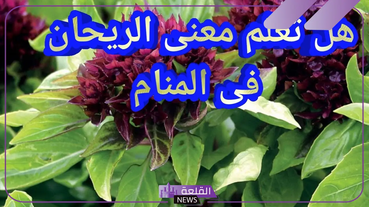 تفسير حلم رؤية الريحان في المنام للمتزوجة والحامل لابن سيرين