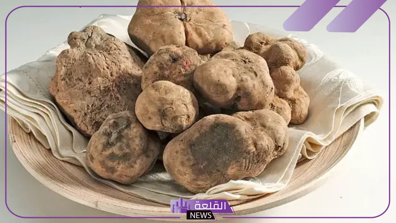 تفسير حلم رؤية الفقع في المنام للرجل لابن سيرين وأكله