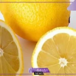 تفسير حلم شجرة الليمون الاخضر في المنام وطرحها لابن سيرين