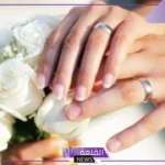 تفسير حلم رؤية العرس في المنام للمرأة لابن سيرين والنابلسي