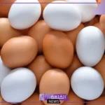 تفسير رؤية البيض الكثير في المنام للعزباء والمتزوجة لابن سيرين