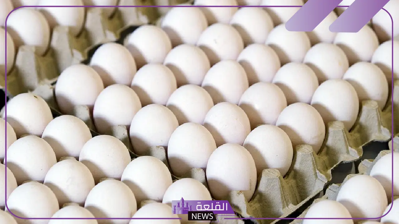 بخصوص البيض الموجود في الأسواق.. السعودية تعلن خبر هام للجميع 5 السعودية تصدر بيانًا هامًا بشأن البيض في الأسواق