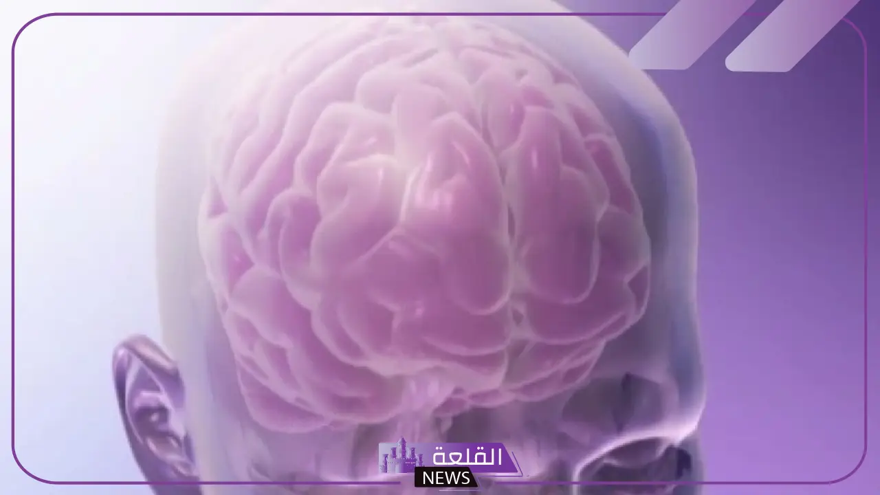 5.5 مليون حالة وفاة سنويًا.. خبيرة توضح 6 تغييرات في حياة الإنسان تحميه من السكتة الدماغية 5 6 تغييرات في نمط الحياة تقلل خطر الإصابة بالسكتة الدماغية