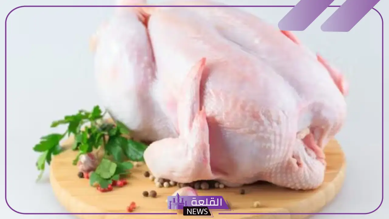 تفسير حلم رؤية دجاج ني في المنام وأكله لابن سيرين