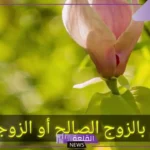دعاء جلب الزوج لزوجته بعد الخصام وتسخيره مستجاب