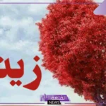 دلع اسم زينب بالعربي والإنجليزي.. معنى اسم زينب وصفاتها
