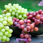 تفسير حلم اكل العنب الاخضر في المنام لابن سيرين وابن شاهين