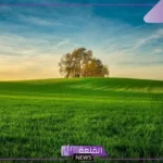 تفسير رؤية الارض الخضراء في المنام لكبار المفسرين