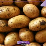 تفسير حلم رؤية البطاطس في المنام للمتزوجة والعزباء