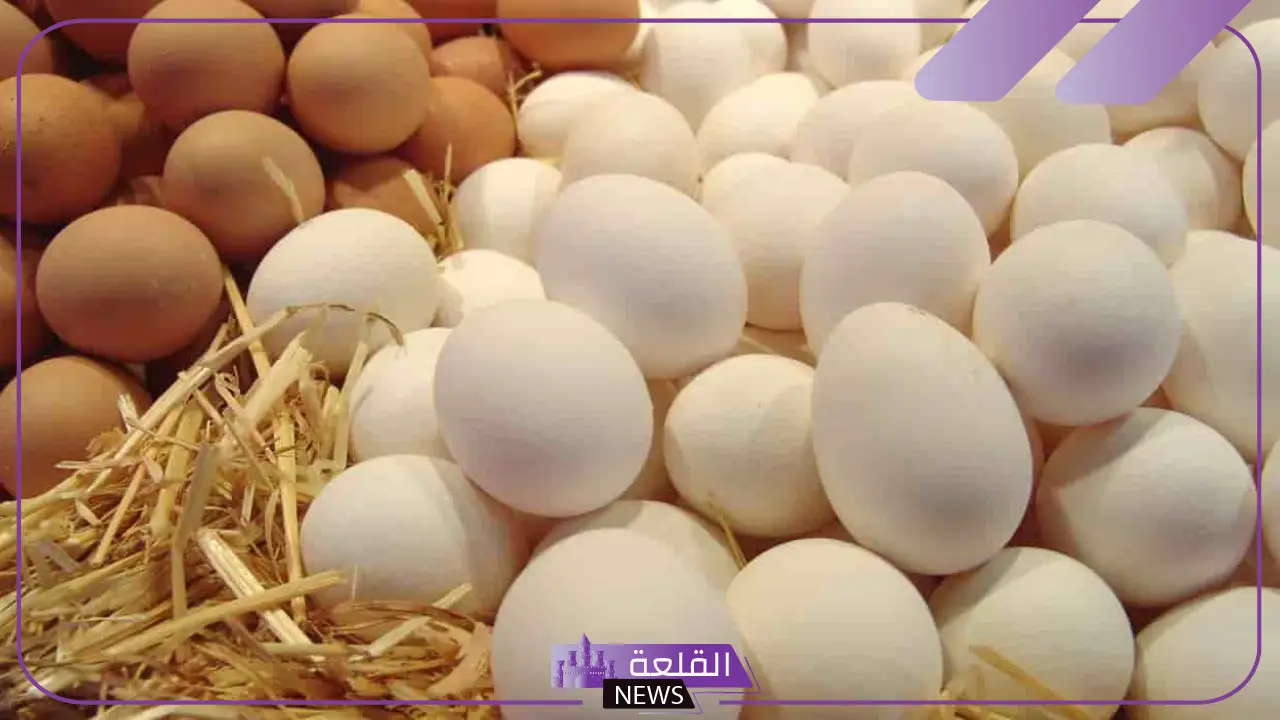 تفسير رؤية البيض الكثير في المنام للعزباء والمتزوجة لابن سيرين 5 ما تفسير رؤية البيض في المنام عند ابن سيرين ؟