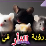 تفسير رؤية الفأر الابيض بالحلم للمرأة الحامل والمتزوجة لابن سيرين