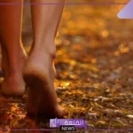 تفسير حلم رؤية القدم في المنام للعزباء ورمزها لابن سيرين