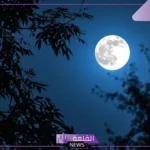 تفسير حلم رؤية القمر في المنام للمتزوجة والعزباء لابن سيرين