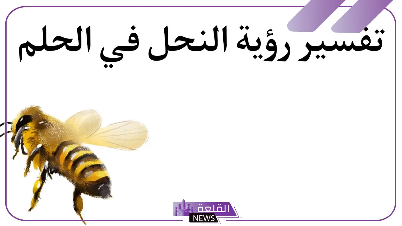 تفسير حلم رؤية النحل في المنام لابن سيرين والنابلسي