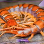 تفسير حلم رؤية ام اربعة واربعين في المنام لابن سيرين