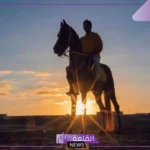 تفسير حلم ركوب الخيل للعزباء والمتزوجة في المنام