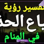 تفسير حلم ضياع الحذاء في المنام للمتزوجة والعزباء لابن سيرين