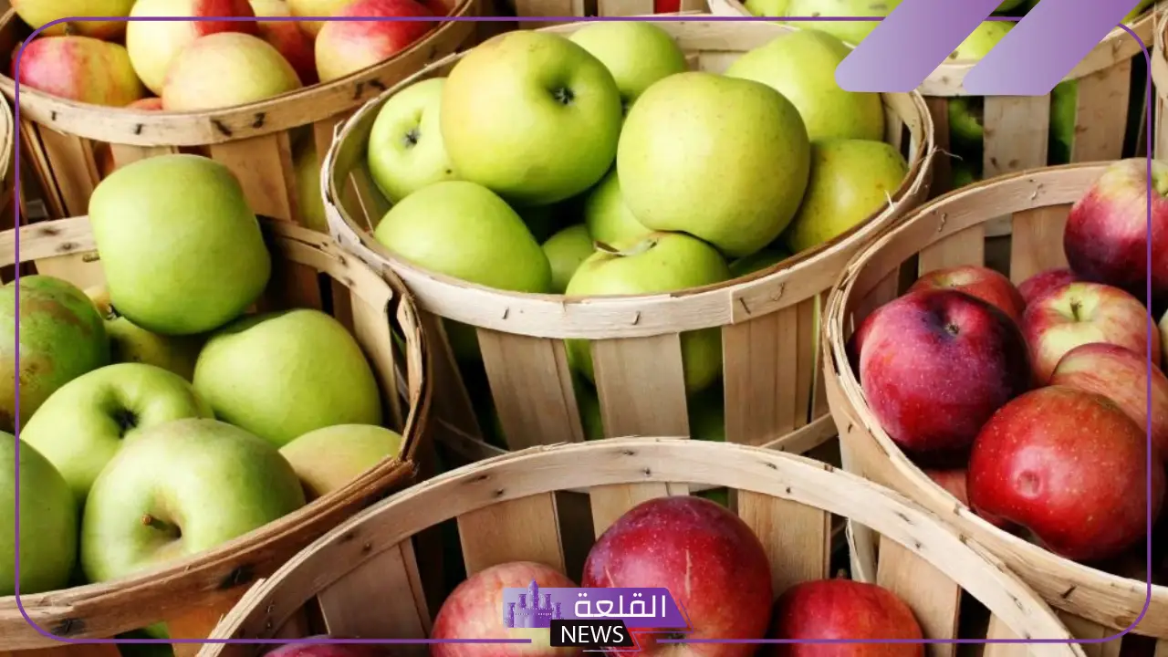 تفسير حلم اكل التفاح للمتزوجة والحامل والعزباء في المنام لابن سيرين 5 معنى رؤية اكل التفاح في المنام للعزباء