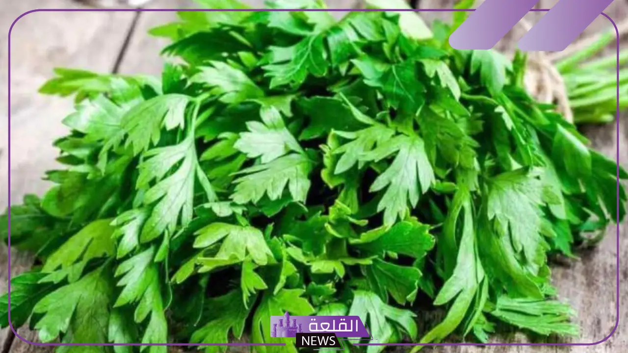 تفسير حلم البقدونس في المنام ورمز رؤيته لابن سيرين وابن شاهين