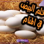 ما هو رمز البيض في المنام وتفسيره حلم شخص يعطيني بيض لابن سيرين
