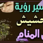 تفسير حلم رؤية الحشيش في المنام للرجل لابن سيرين والإمام الصادق