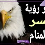 تفسير حلم رؤية النسر في المنام للعزباء والمتزوجة لابن سيرين