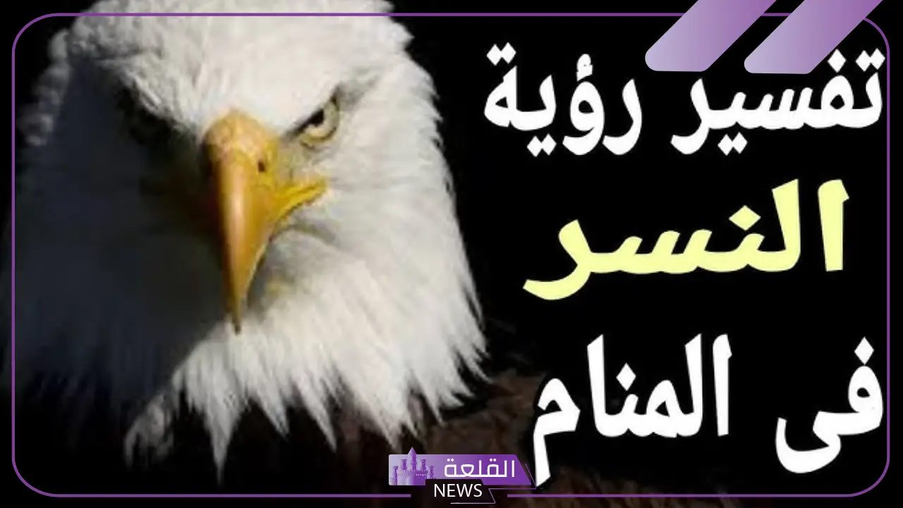 تفسير حلم رؤية النسر في المنام للعزباء والمتزوجة لابن سيرين