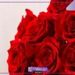 تفسير حلم الورد الاحمر في المنام ورمزه للعزباء والمتزوجة لكبار المفسرين والعلماء
