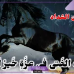 شعر عنترة بن شداد في عزة النفس جميل جدًا قوي