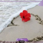 عبارة عن البحر والحب رومانسية جميلة تويتر.. كلام حب عن البحر تويتر