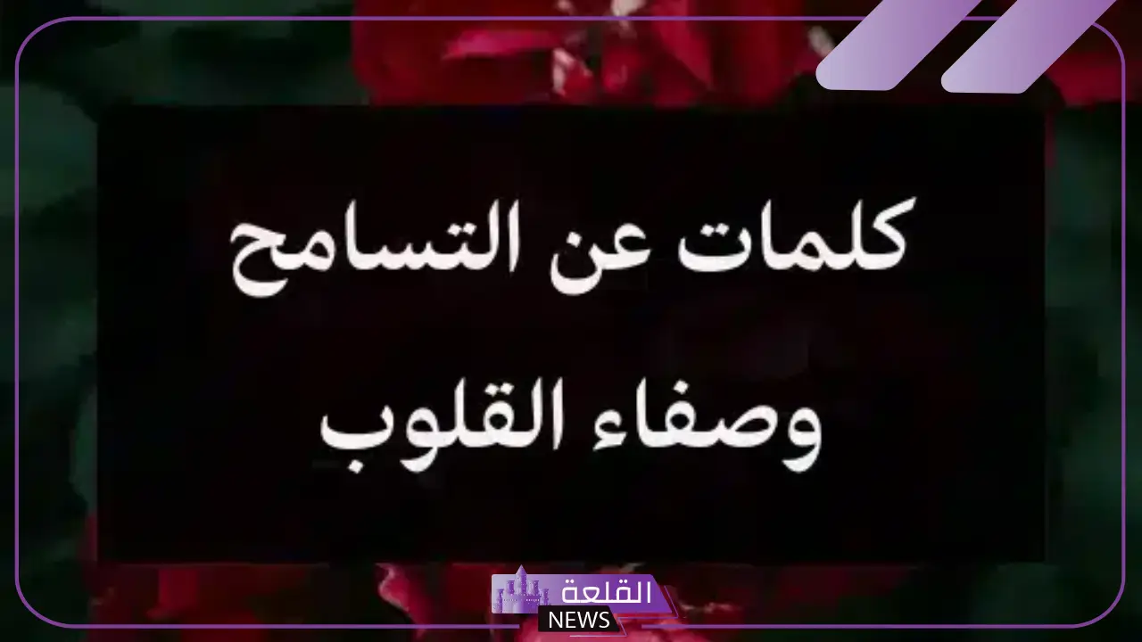 عبارات عن التسامح للواتس آب وفيس بوك قصيرة.. أجمل ما قيل في الصفاء 5 عبارات عن التسامح للواتس آب