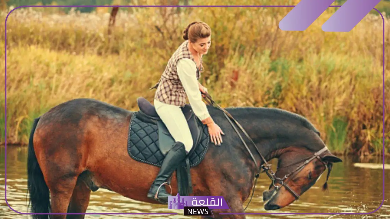 عبارات عن الخيل، أجمل ما قيل عن الخيل تلجرام وانستقرام 6 كلام عن الخيل