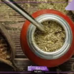 ما هي عشبة المتة وما أهم فوائدها للرجال والنساء؟